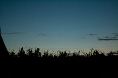 g1/79/951479/3/127024300.QuUMtMFd.jpg