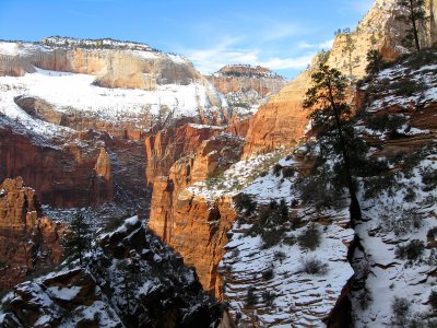 16 East Rim Trail in Winter