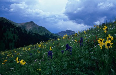 6 Maroon Bells Wilderness