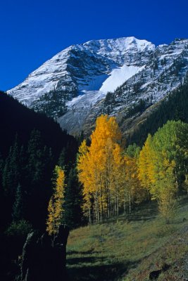 Summer and Fall in the Colorado Rockies