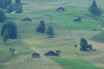 g1/79/957579/3/127128224.79R2lCGa.jpg