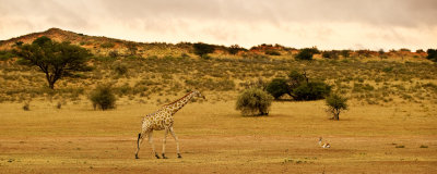 g1/79/957579/3/129533868.WN7yxpwZ.jpg