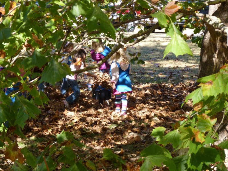 Playing in leaves