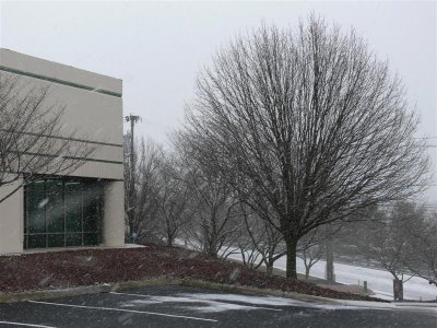 Nashville Snow shower