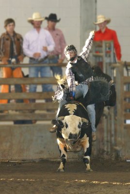 rodeo1.jpg