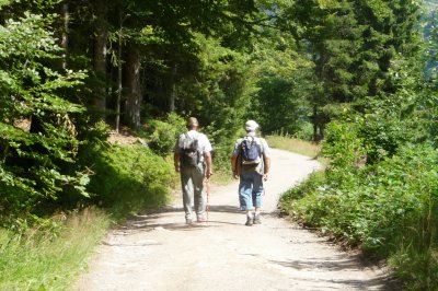  QUER DURCH DEN HOCHSCHWARZWALD: JULI  / AUGUST 2010