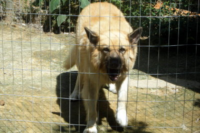 DSCF3827.JPG