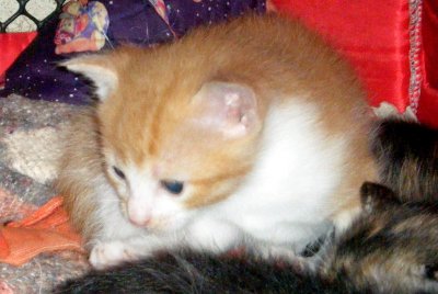 DSCF3863.JPG