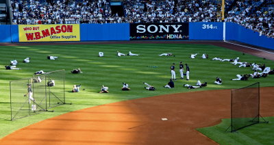yankee circle