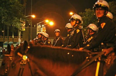 horse cops