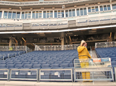 field level behind home plate