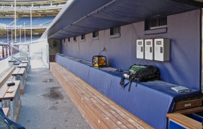 yank dugout