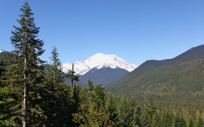 Mt. Ranier in the distance