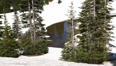 road to Ranier