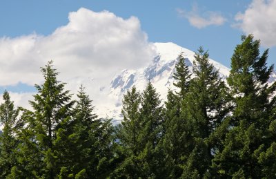 Mt. Ranier
