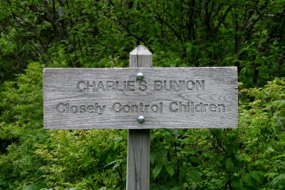 Charlie's Bunion Trail