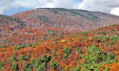 color in the valley w clouds 1100.jpg
