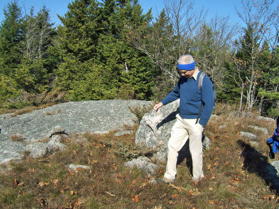 glacial erratic.jpg