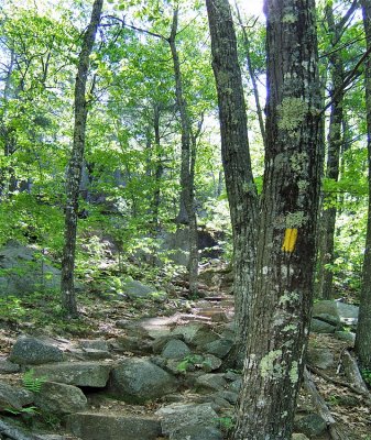 cliff ahead 800.jpg