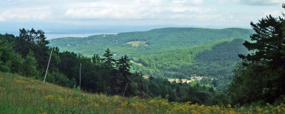 Gunstock 5 a.jpg