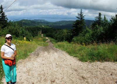 Gunstock 6a 1200.jpg