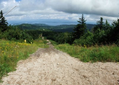 Gunstock 6a.jpg