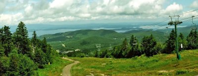 Gunstock 8 b.jpg