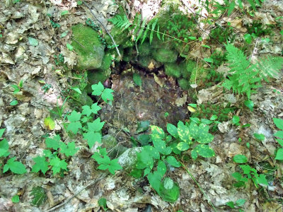 a dug well