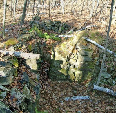 Witham Farm cellar hole.jpg