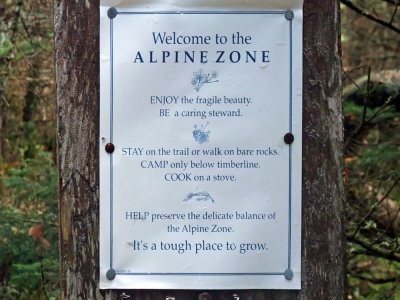 Alpine zone s.jpg