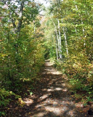 Bald Knob trail 2.jpg