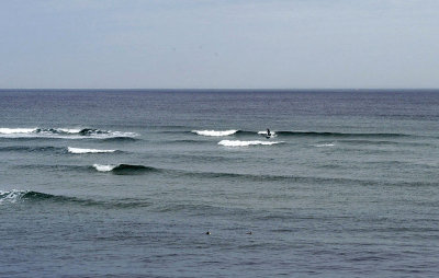 DSC_3024a2.jpg