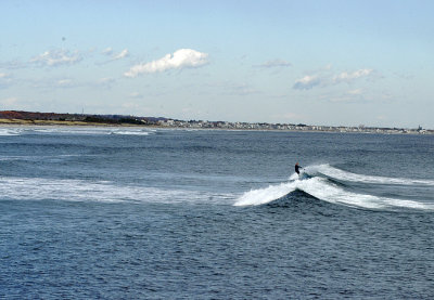 DSC_3040a.jpg