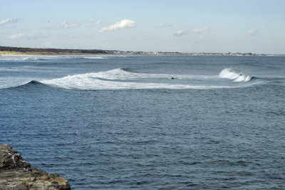 DSC_3041b.jpg