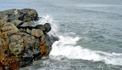 DSC_3060a.jpg