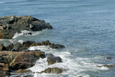 DSC_3062a.jpg