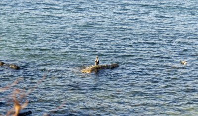 DSC_3183a.jpg