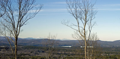DSC_3356a.jpg