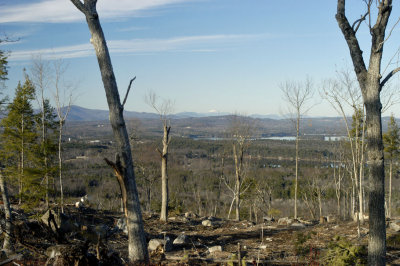looking North.jpg