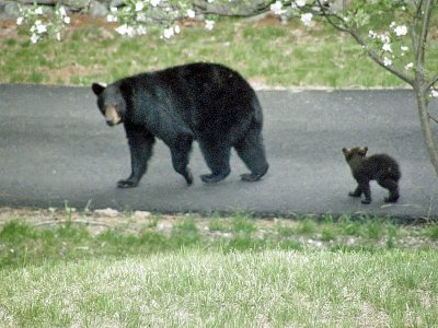 strolling on Sinclair 1050.jpg