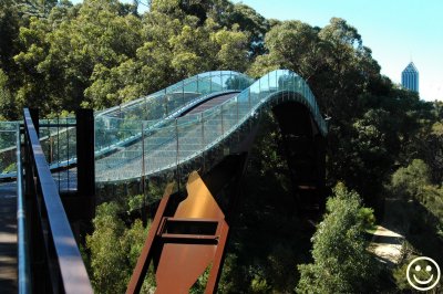DSC_8705 Perth W.A. Botanic gardens tree top walkway and bridge.jpg