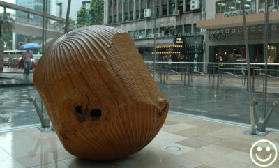 DSC_6564 Oak Spheres by Alison Crowther.jpg