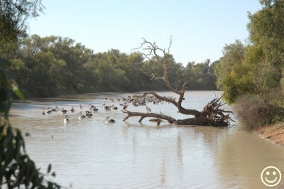 DSC_9211 Eyre creek.jpg