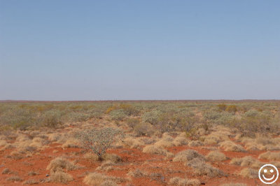 Yanery is on the Ashburton River flood plains.jpg