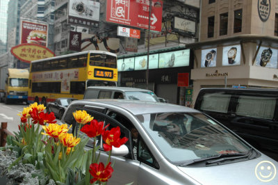 DSC_3820 tulips and traffic.jpg