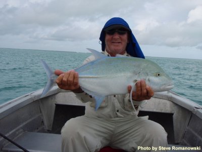 P1010078 Blue fin trevally.jpg