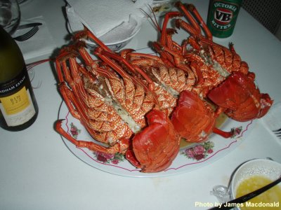 P4094234 Lobster for dinner at Ikari house.jpg