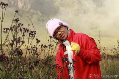2009_05_23_001144DP copy.jpg