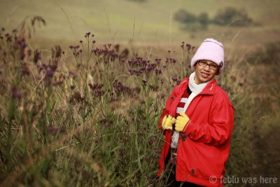 2009_05_23_001222 copy.jpg