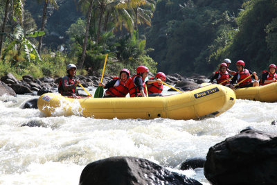 2009_08_02_004368 copy.jpg